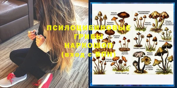 a pvp Осинники