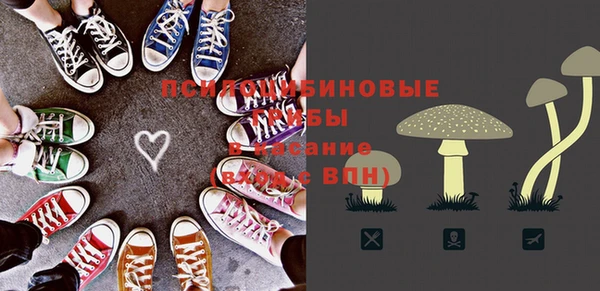 меф Арсеньев