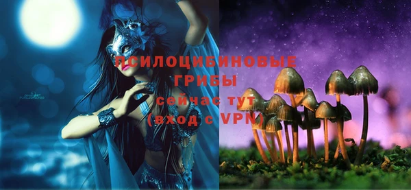 стаф Балабаново